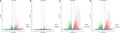 Identification of thyroid hormone response genes in the remodeling of dorsal muscle during Microhyla fissipes metamorphosis